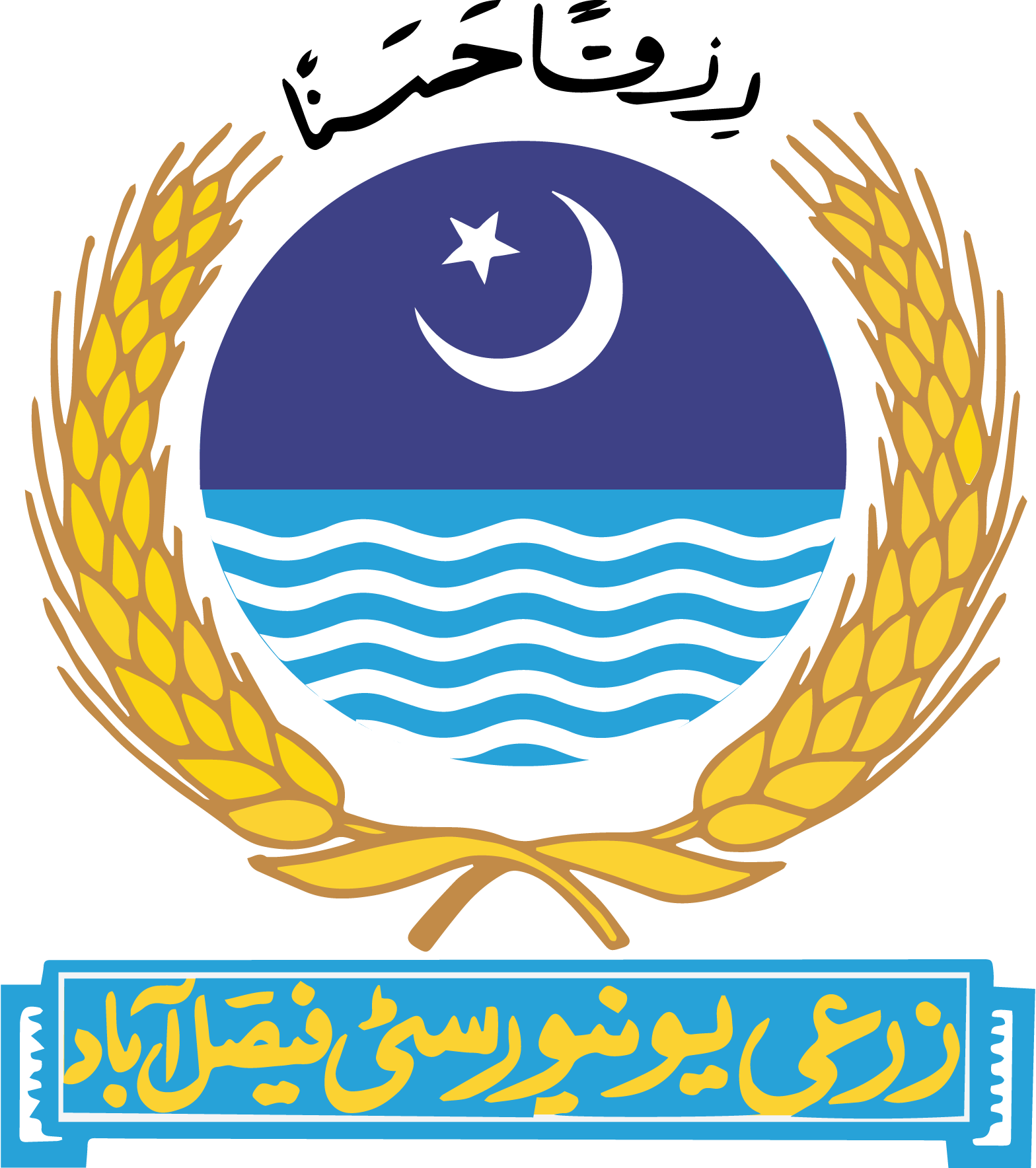 Agriculture-University-Faisalabad-Logo-Vector